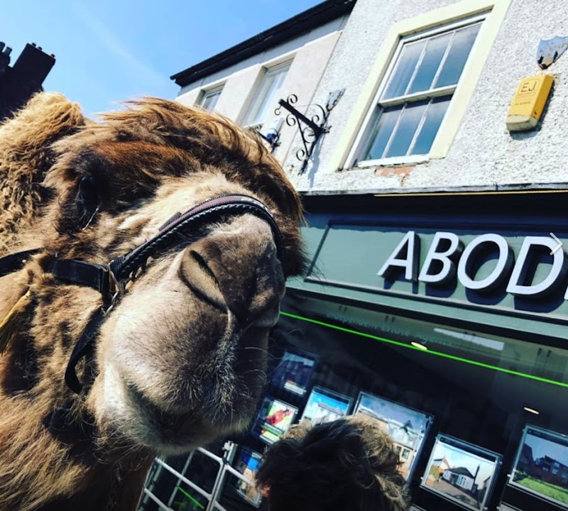 Abode Estate Agents Cheadle