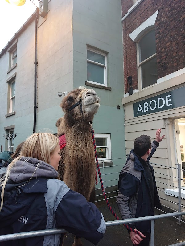 Abode Estate Agents Cheadle