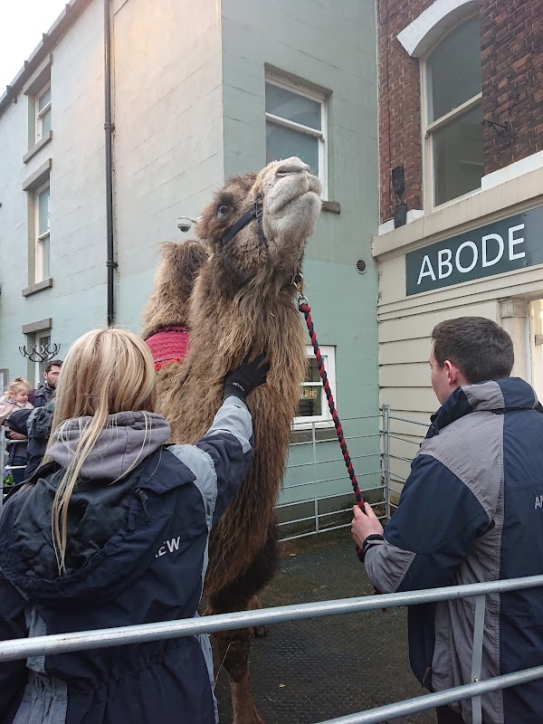 Abode Estate Agents Cheadle