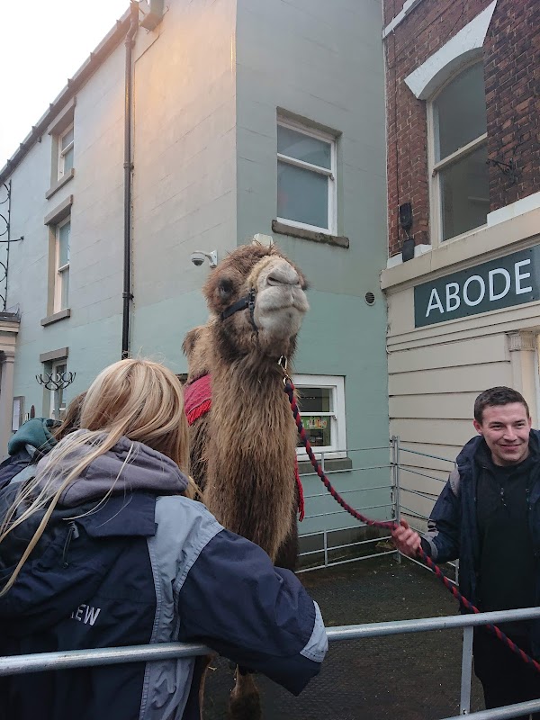 Abode Estate Agents Cheadle