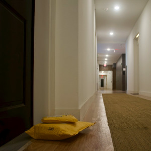 Casserly Property Management