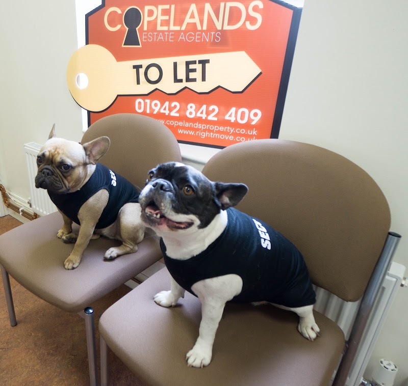 Copelands Estate Agents
