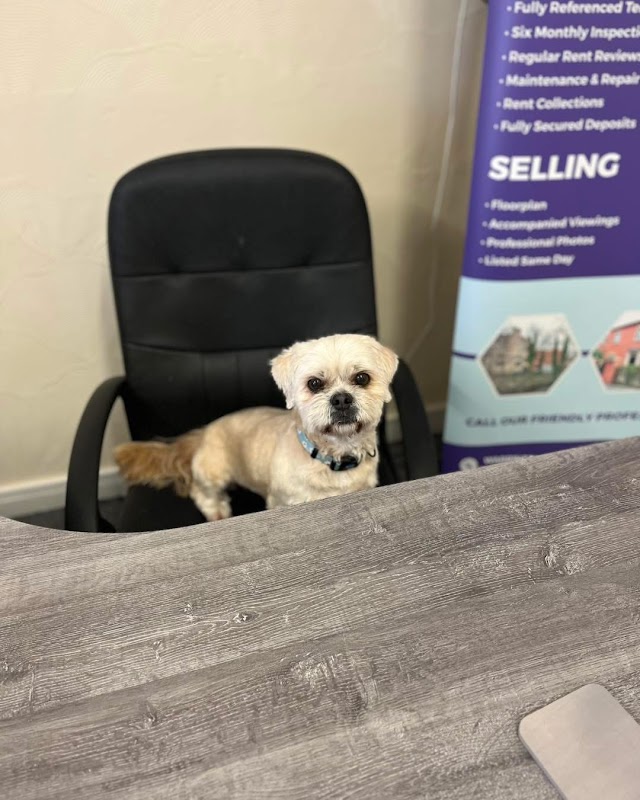 Freeney & Oliver Estate Agents Westhoughton