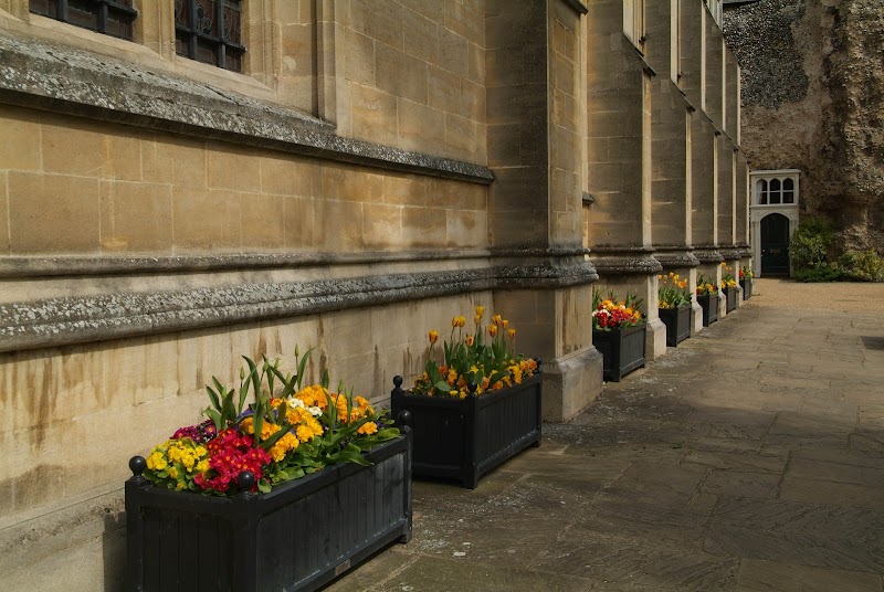 haart Estate and Lettings Agents Bury St Edmunds