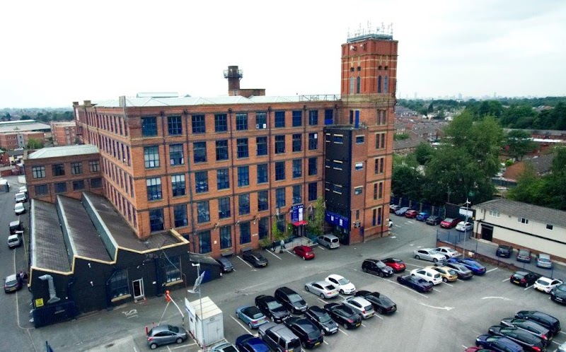 Ivy Group