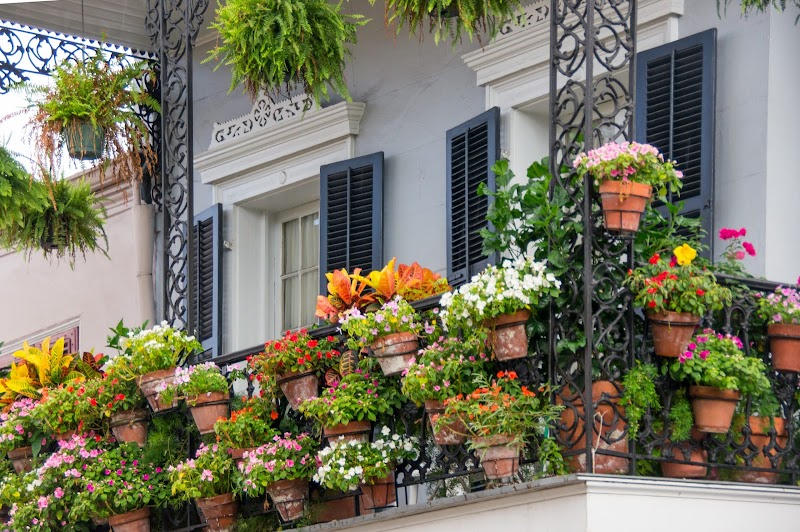 L A Property Discovery LTD