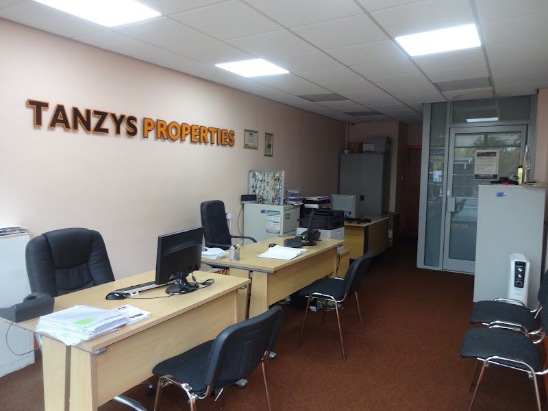 Tanzys Properties