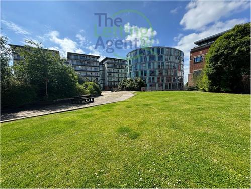 The Letting Agent