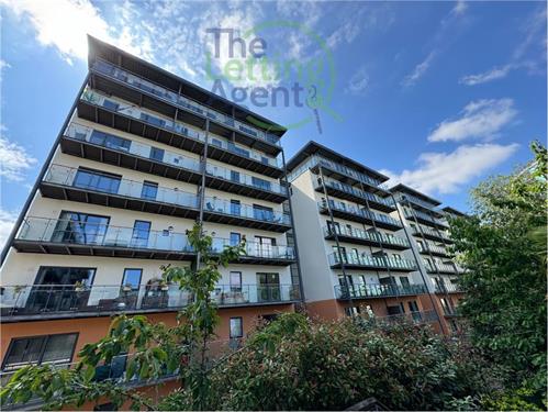 The Letting Agent